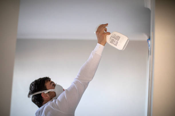 Best Crawl Space Mold Removal  in Stewartville, MN