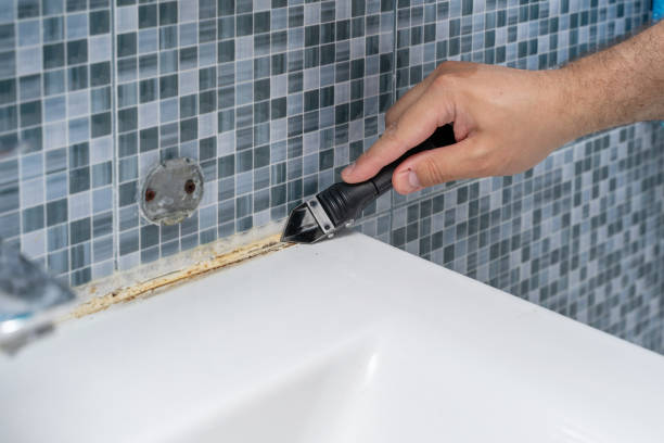 Best Mold Remediation Experts  in Stewartville, MN